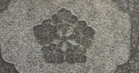 五つ横見唐花？