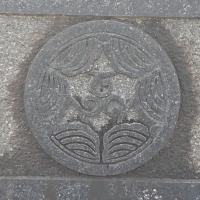 丸に三つ割り五徳柏