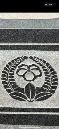 中陰蔦に上り藤